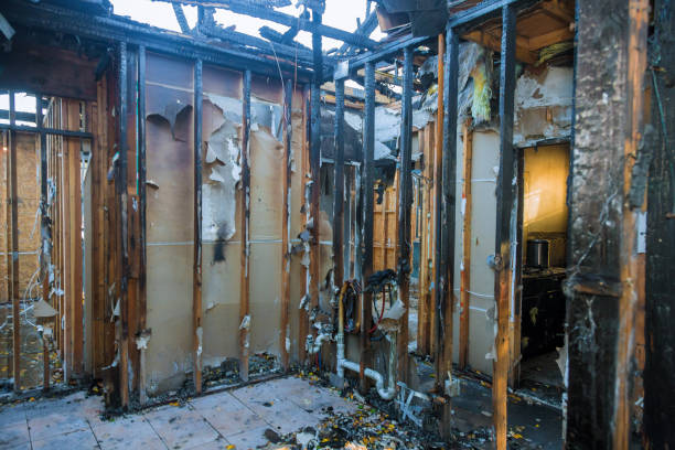 Professional Smoke Damage Removal technician working in Sanibel, FL